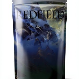 Celestine Prophecy Kindle Edition by James Redfield-0